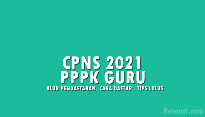 Alur Sistem Seleksi CPNS 2021 untuk PPPK Guru