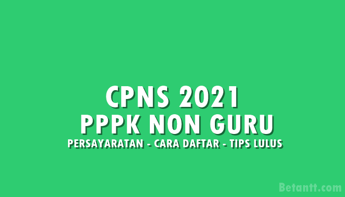Alur Sistem Seleksi CPNS 2021 untuk PPPK Non Guru