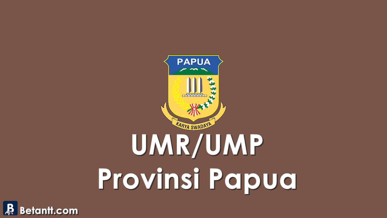Data UMPUMR KabupatenKota di Provinsi Papua 2021