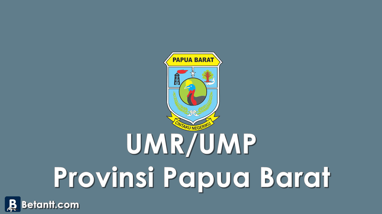 Data UMPUMR KabupatenKota di Provinsi Papua Barat 2021