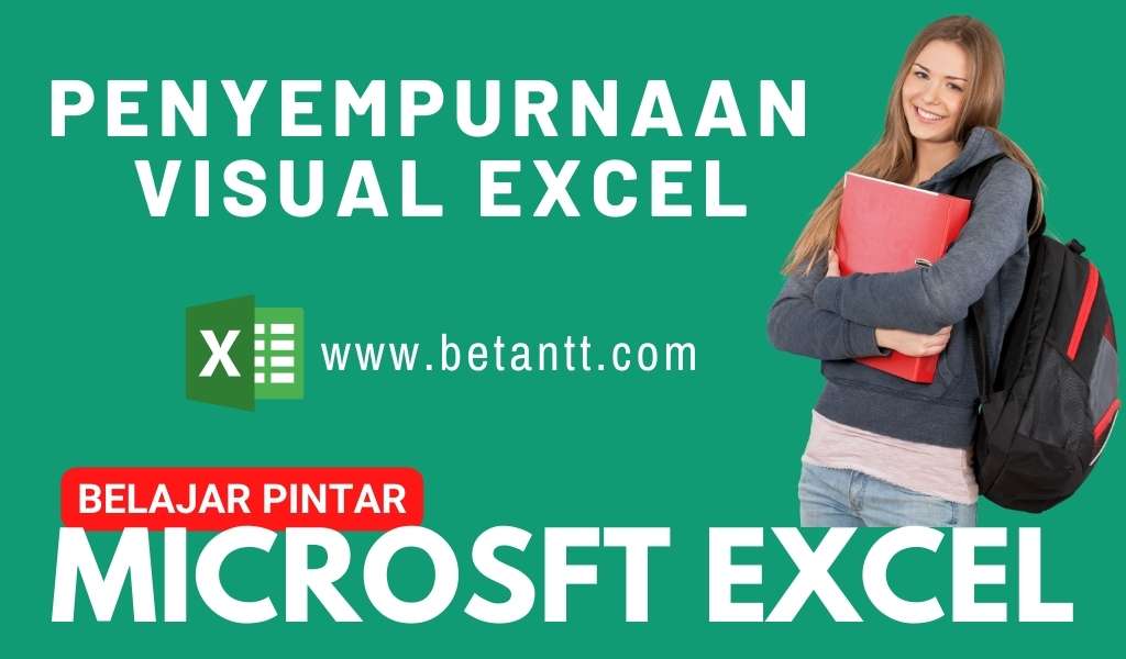 Penyempurnaan Visual Excel